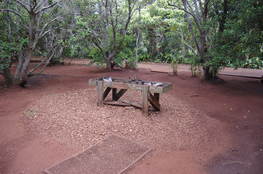 Farm View