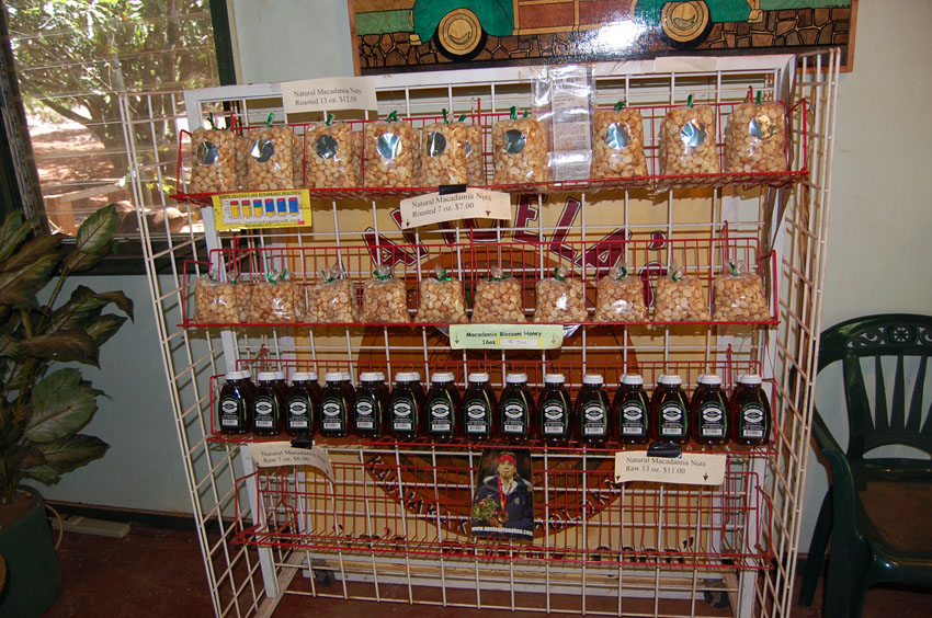 Natural Honey and Nuts