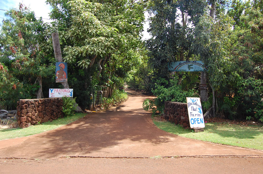 Purdys Natural Macadamia Nut Farm Entrance