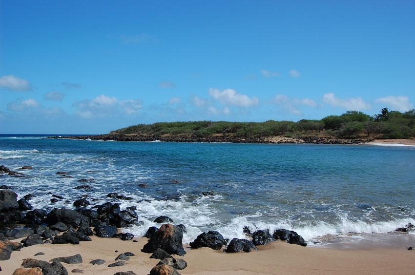 Black Lava Rock