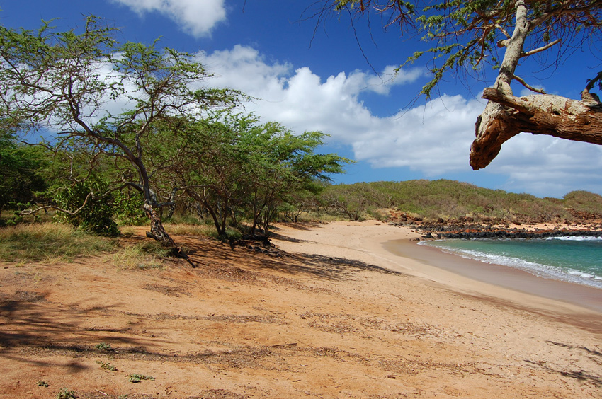 Sandy Beach