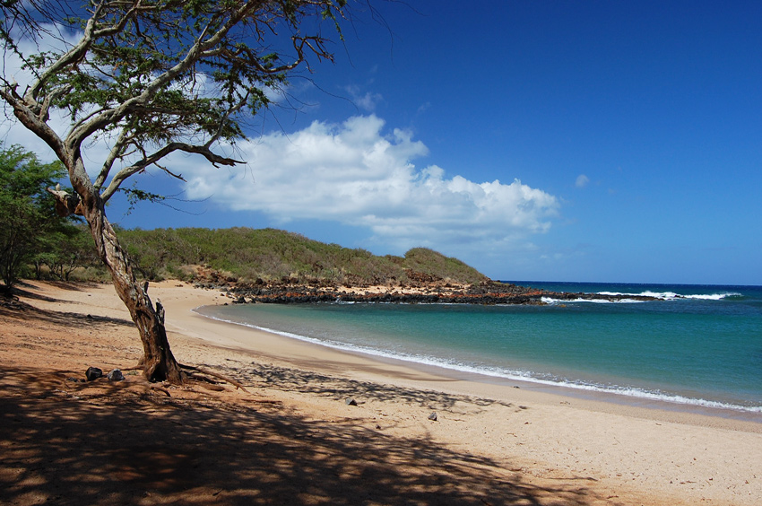 Scenic Cove
