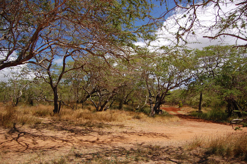Surrounding Scenery