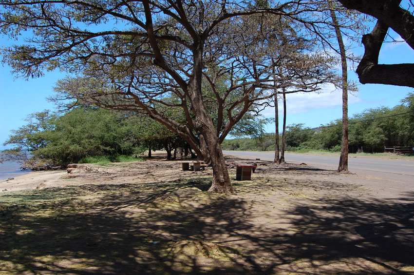 Narrow Park Area