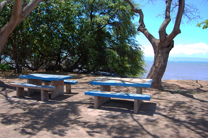 Picnic Tables 2
