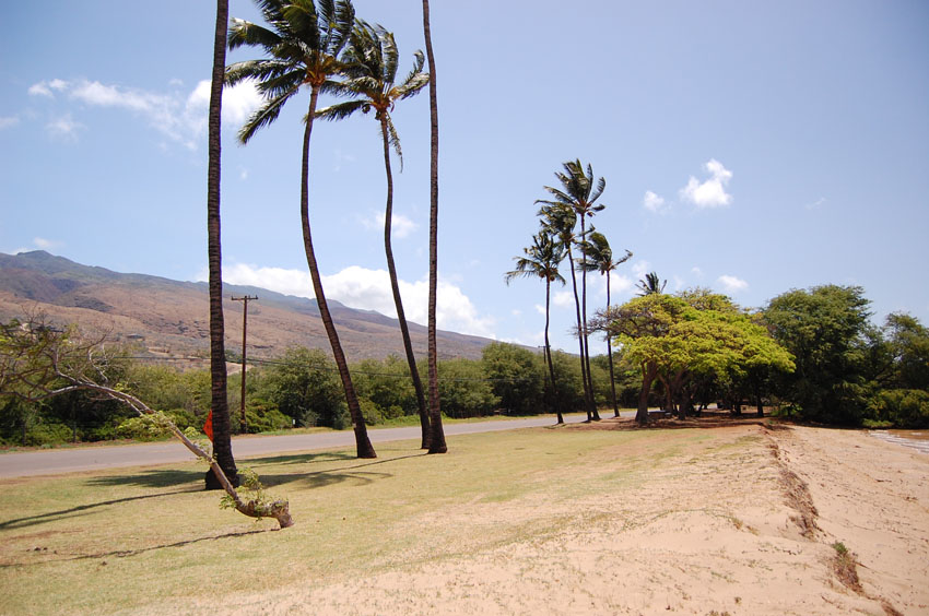 Small Roadside Park