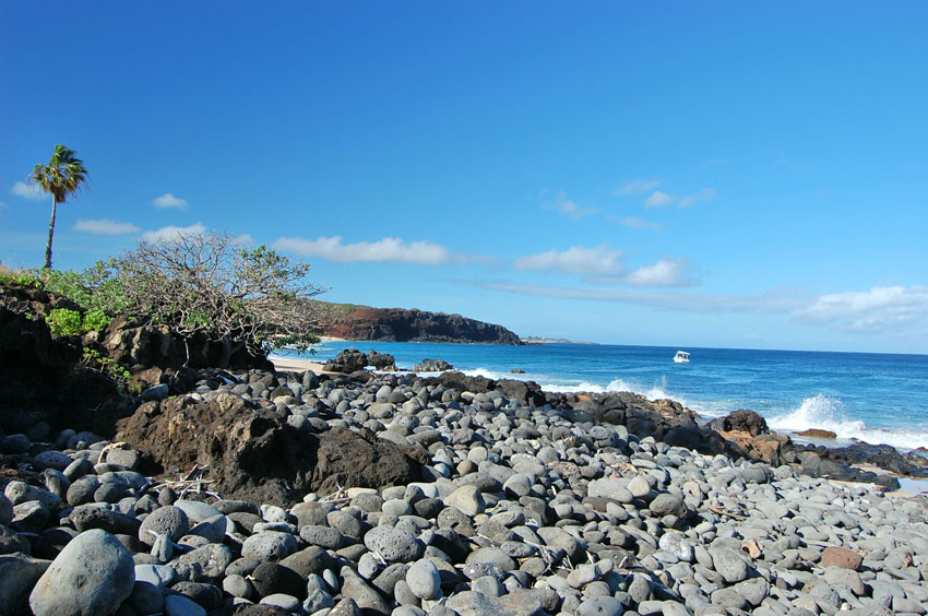 Black Lava Stones