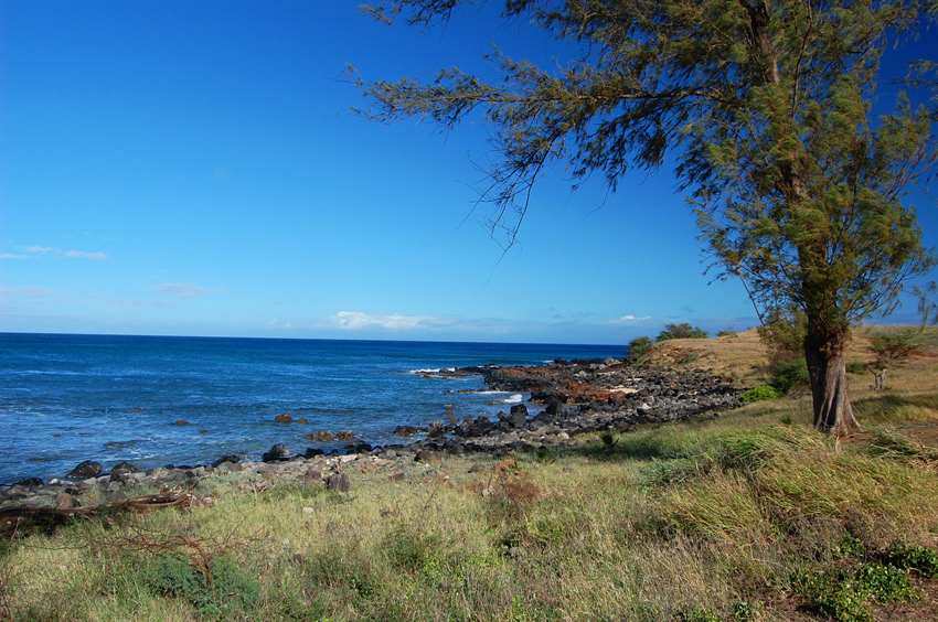 Easy and Scenic Trail by the Beach