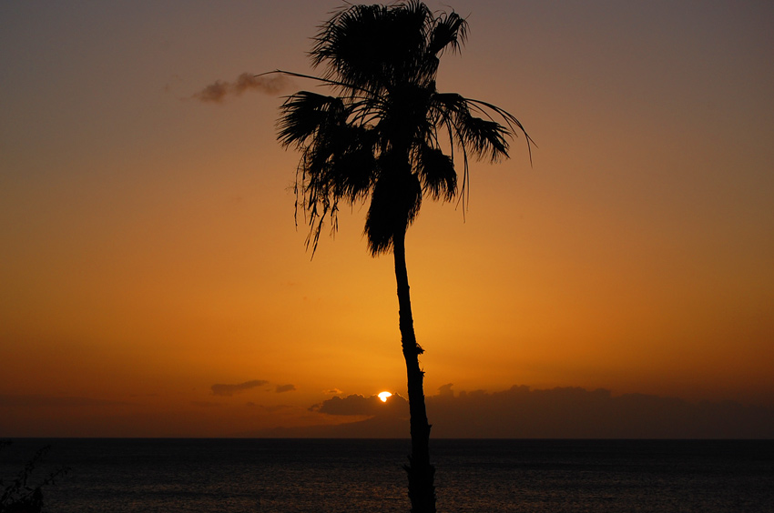 Romantic Sunset