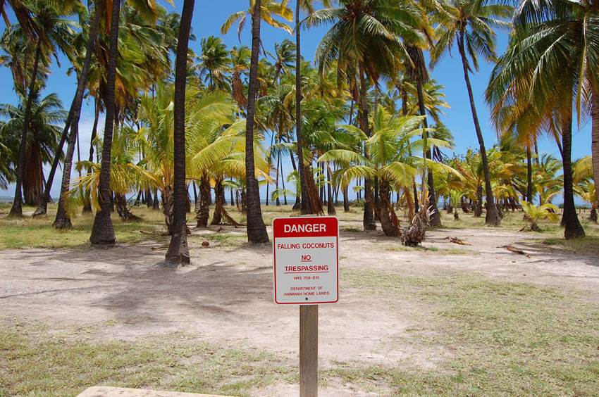 Danger Sign