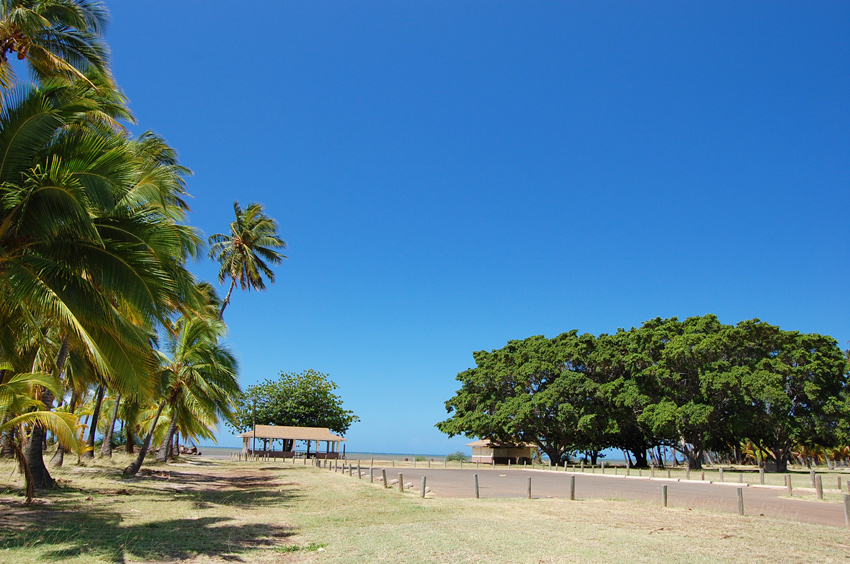 View to Coconut Grove