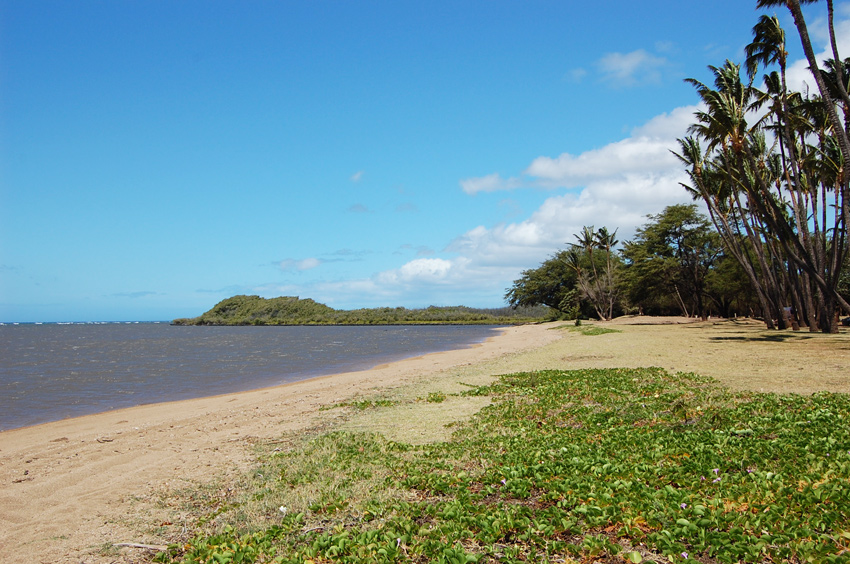 Beach at One Alii I 2