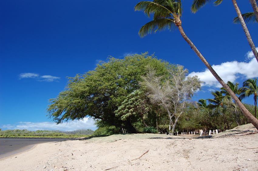 Beach at One Alii Ii 2