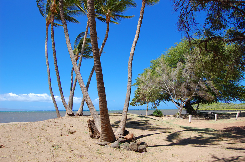 Beach at One Alii Ii 3
