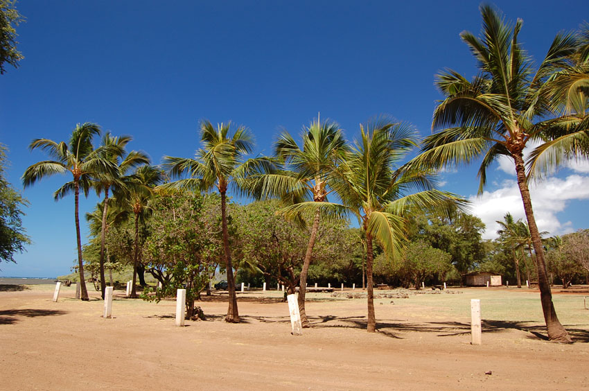 Scenic Park