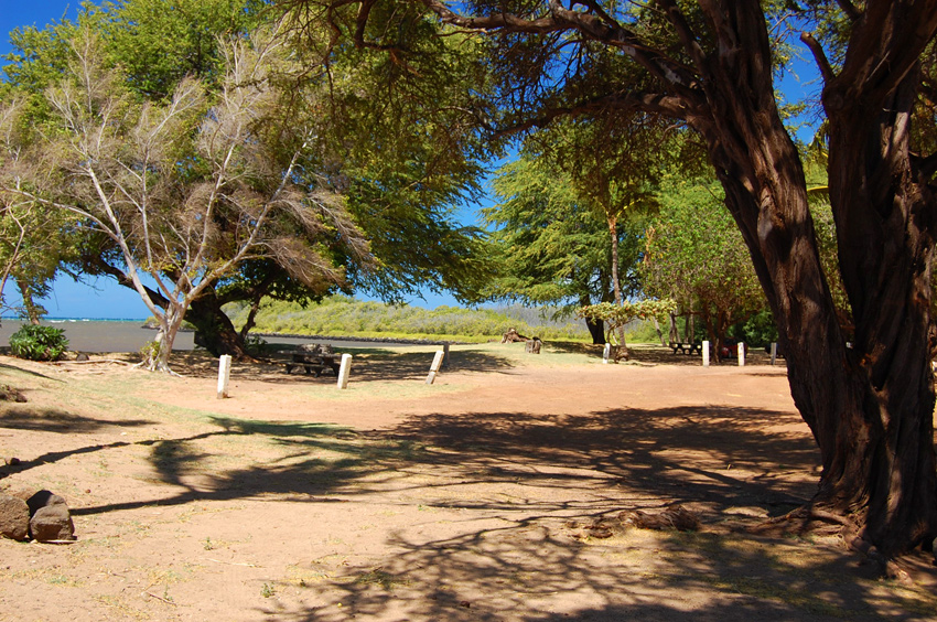 Scenic Park 3