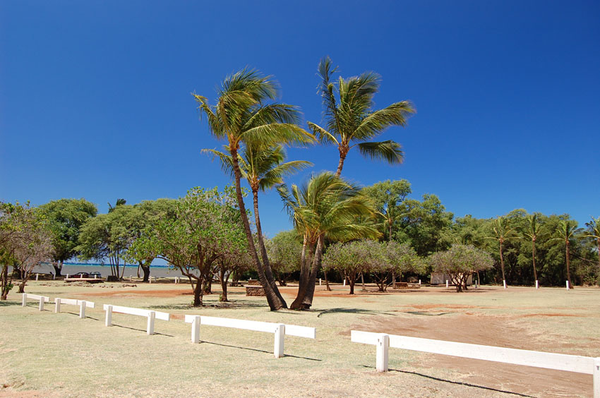 Scenic Park 4