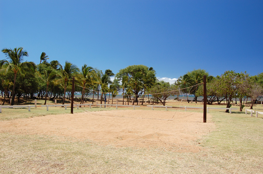 Volleyball Court