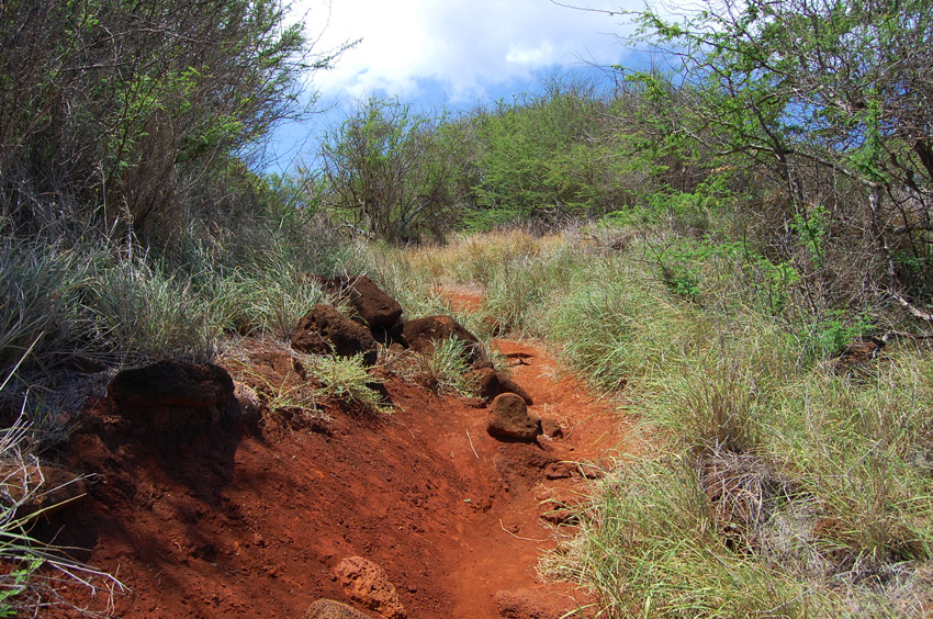 Short Trail to the Beach