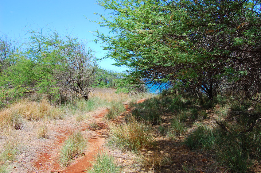 Short Trail to the Beach 2