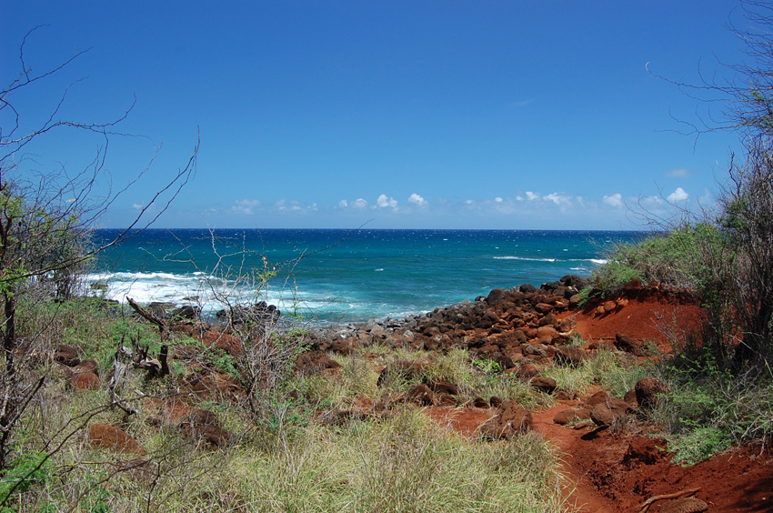 Short Trail to the Beach 3