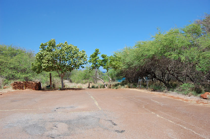 Trail Starts from Parking Area