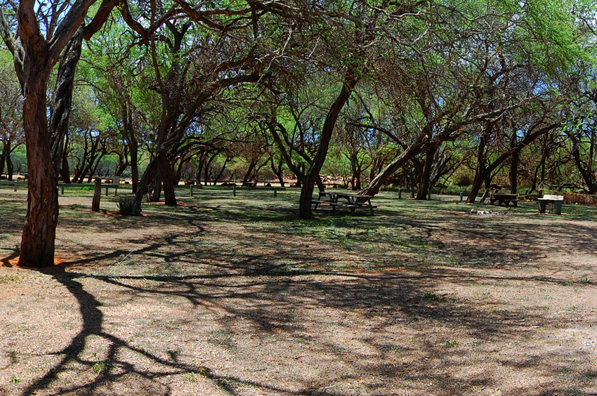 Park Area 1