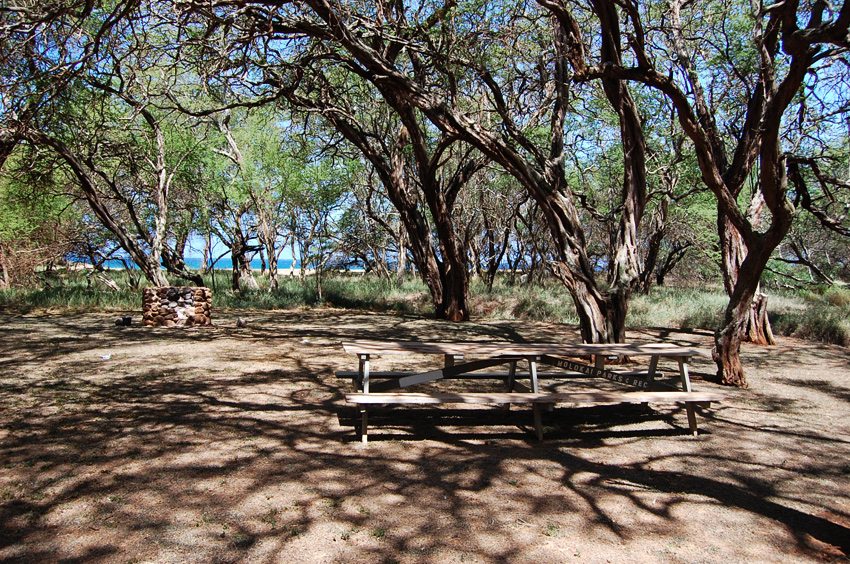 Picnic Area in the Park