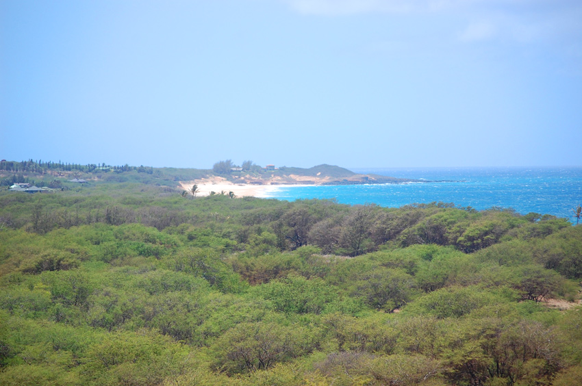 View to the Beach from Kaluakoi Road