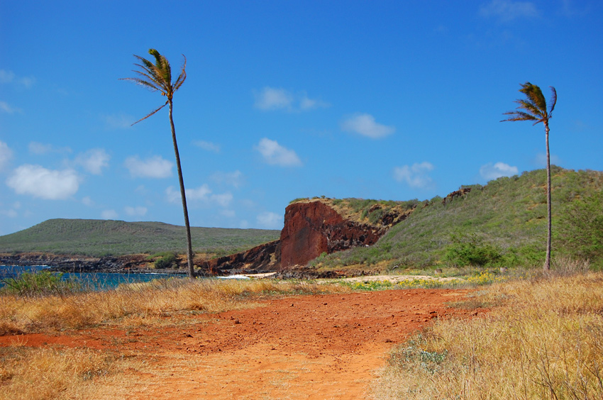 Dirt Road Leads to the Beach 2
