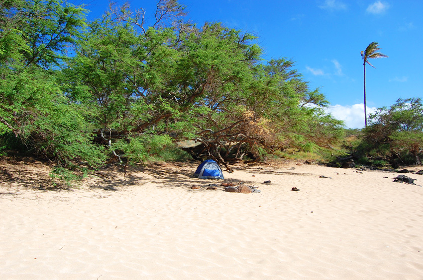 Lonely Tent