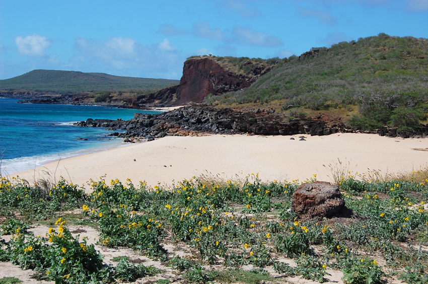 The First White Sand Beach Cove