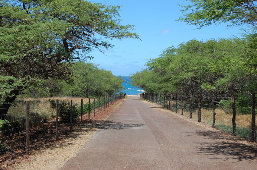 Beach Road
