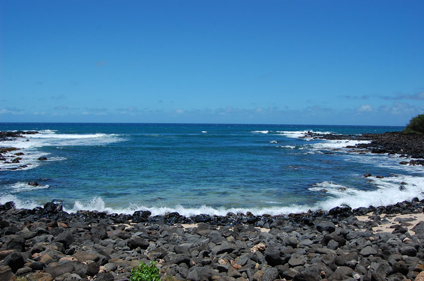 Rocky Shoreline