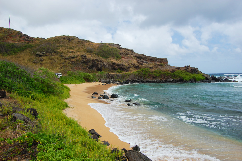 Scenic Cove