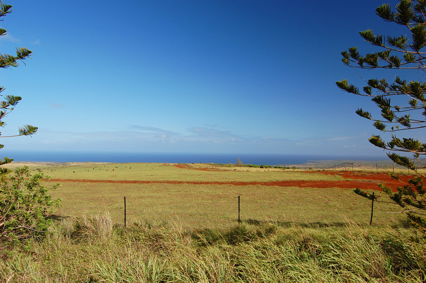 Upcountry Molokai 2