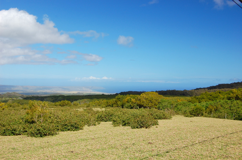Scenic Lookout