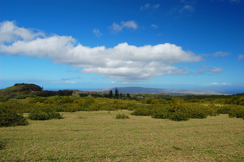 Scenic Lookout 2