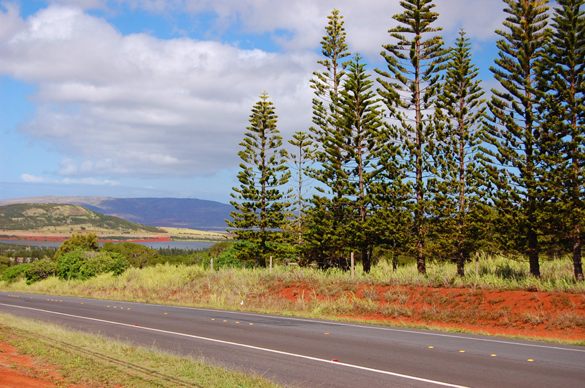 Scenic Lookout 3
