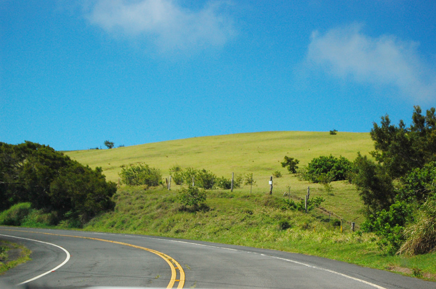 Scenic Molokai Drive 3