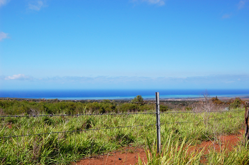 View to the Ocean