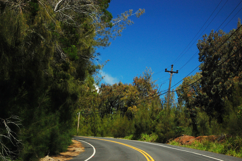 Winding Road 1