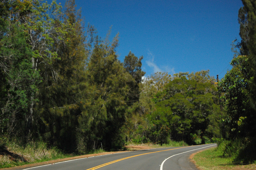 Winding Road 3