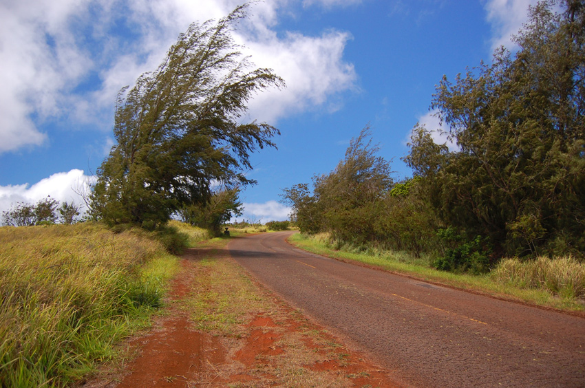 Scenic Drive