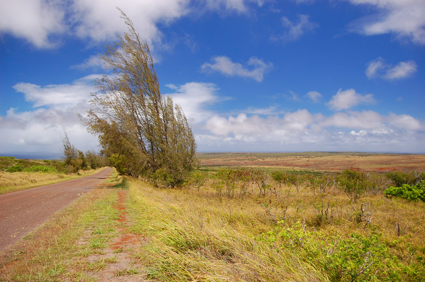 Scenic Drive 2