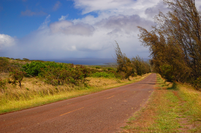 Scenic Drive 3