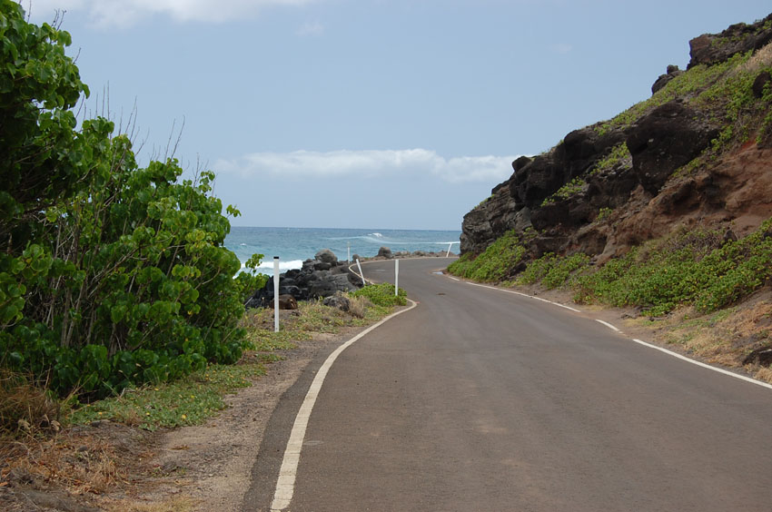 Scenic View