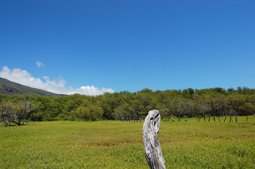 East Molokai Scenery