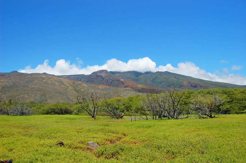 Scenic Mountain Views 2