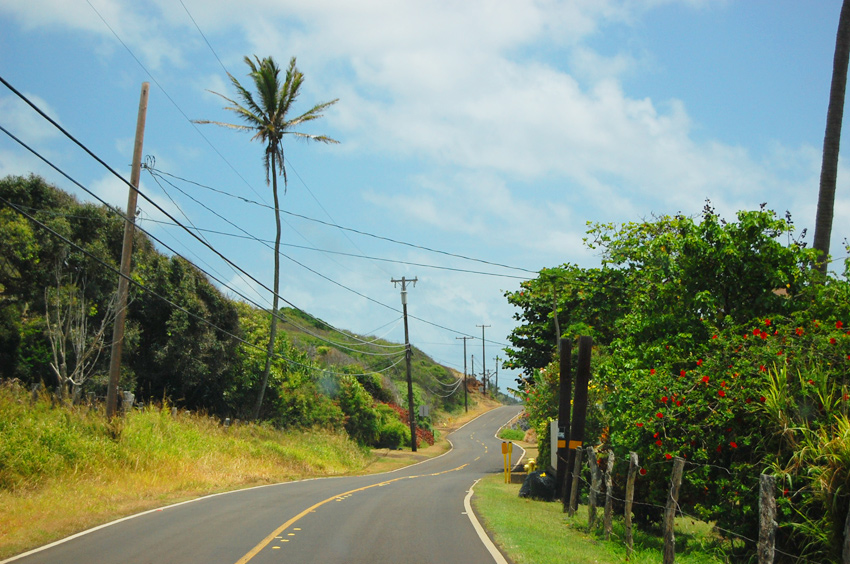 Winding Road 2